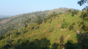 Tajingdong - Bandarban